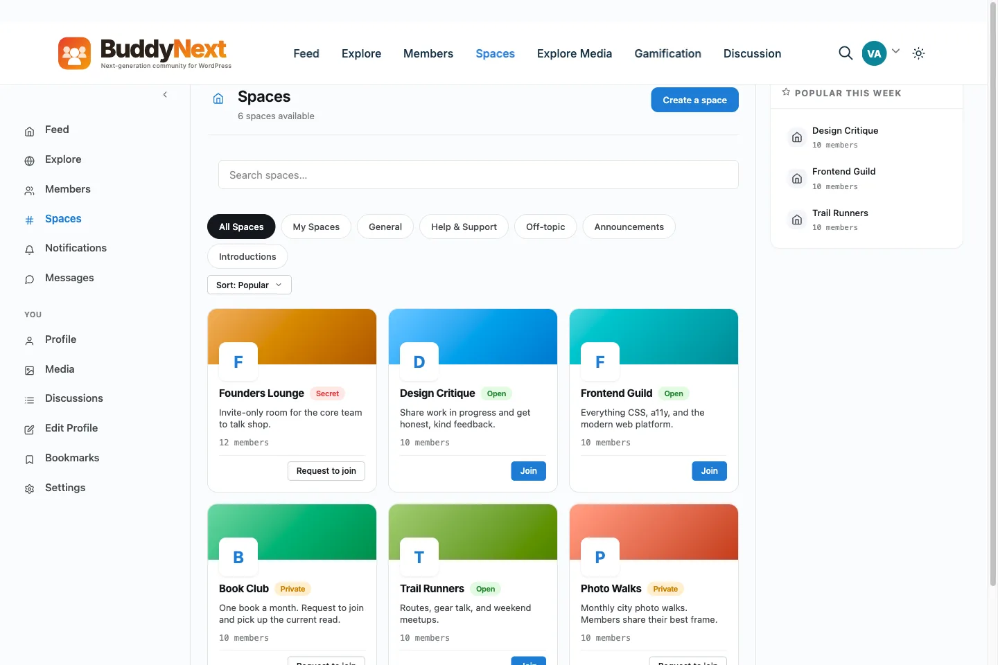 BuddyNext Spaces screen